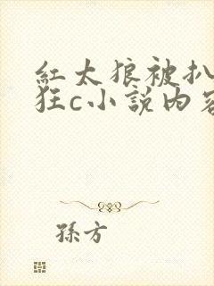 红太狼被扒开腿狂c小说内容