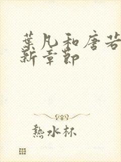 叶凡和唐若雪最新章节封面