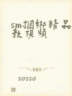 sm捆绑精品调教视频