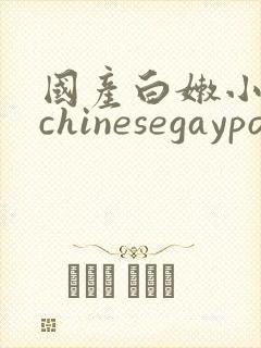 国产白嫩小鲜肉chinesegaypornsissy