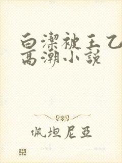 白洁被王乙干到高潮小说