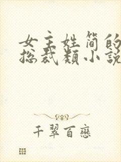 女主姓简的现代总裁类小说封面