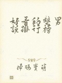 好看的双男主小说排行榜封面