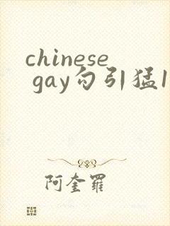 chinese gay勾引猛1video