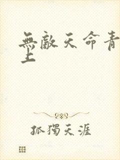 无敌天命青鸾峰上