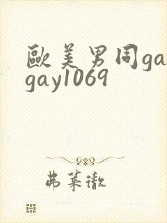 欧美男同gaygay1069