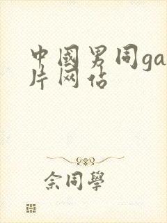 中国男同gay片网站