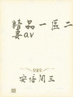 精品一区二区人妻av封面