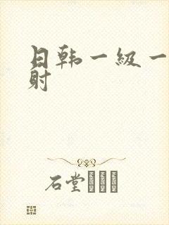 日韩一级一片内射