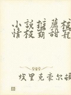 小说推荐校园言情校霸甜宠