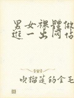 男女裸体做爰一进一出网站