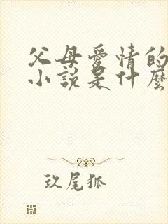 父母爱情的原著小说是什么