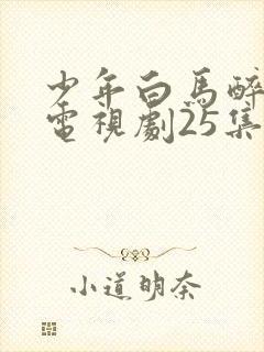 少年白马醉春风电视剧25集免费观看