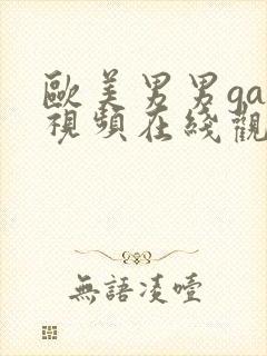 欧美男男gay视频在线观看