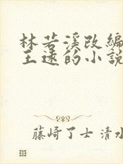 林若溪改编同人王远的小说