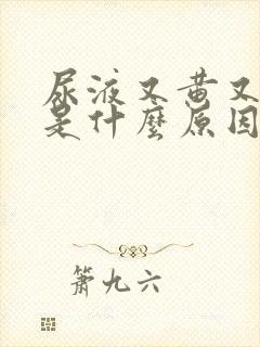 尿液又黄又浑浊是什么原因封面