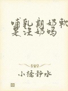 哺乳期奶软软的是没奶吗