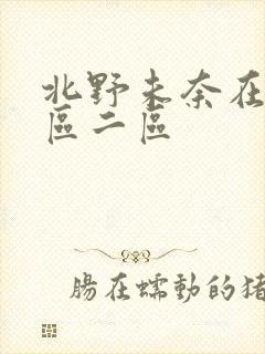北野未奈在线一区二区