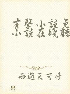 有声小说免费听小说在线听