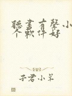 听书有声小说哪个软件好