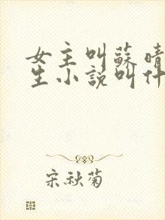 女主叫苏晴的重生小说叫什么名字封面