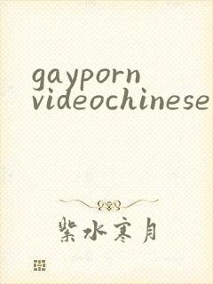 gaypornvideochinese