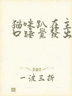 猫咪趴在主人胸口睡觉发出咕噜咕噜的声音