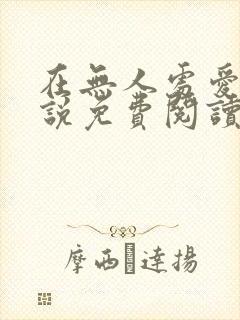 在无人处爱你小说免费阅读封面