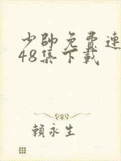 少帅免费连续剧48集下载