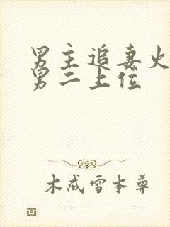 男主追妻火葬场男二上位