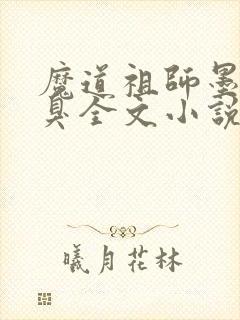 魔道祖师墨香铜臭全文小说免费阅读封面