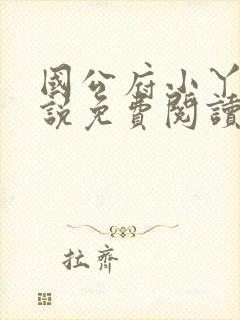 国公府小丫鬟小说免费阅读