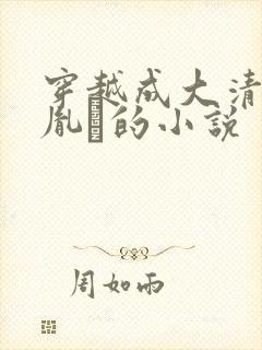 穿越成大清太子胤礽的小说封面