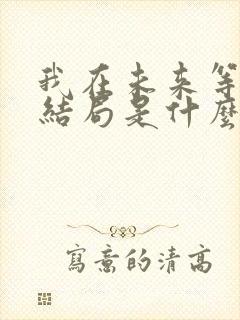 我在未来等你大结局是什么