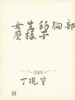 女生的胸部是什么样子