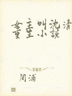 女主叫沈清宁的重生小说