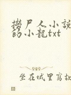 捞尸人小说纯洁的小龙txt