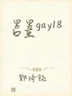 男男gay18口互