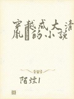 穿越成大清太子胤礽的小说