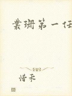 丛珊第一任丈夫