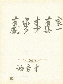 有你才有家电视剧多少集一共