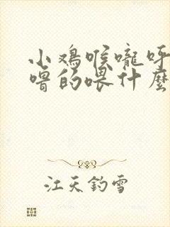 小鸡喉咙呼噜呼噜的喂什么药封面