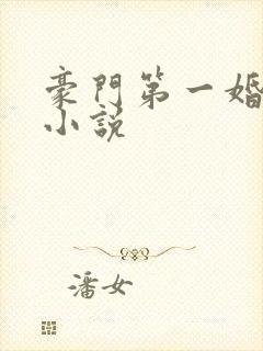 豪门第一婚宠 小说