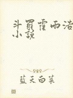 斗罗霍雨浩同人小说封面