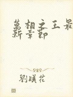 万相之王最快更新章节