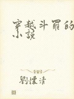 穿越斗罗的好看小说