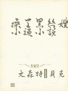 操了黑丝嫂子的小逼小说