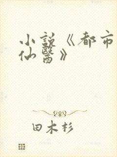 小说《都市最强仙医》