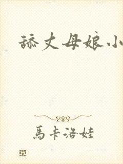 舔丈母娘小说封面