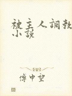 被主人调教惩罚小说